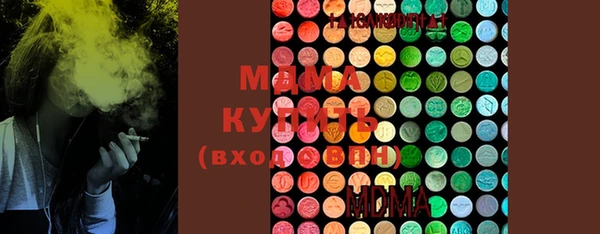 ECSTASY Бородино
