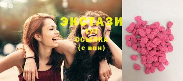 ECSTASY Бородино