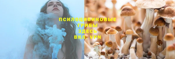 ECSTASY Бородино